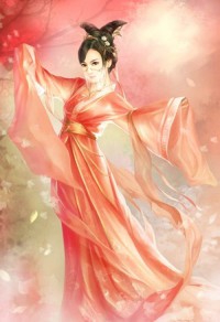 锦衣娘子